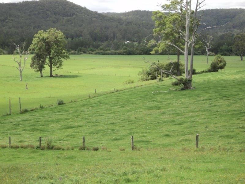 1496 Pipeclay Road, Pipeclay NSW 2446
