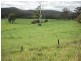 1496 Pipeclay Road, Pipeclay NSW 2446