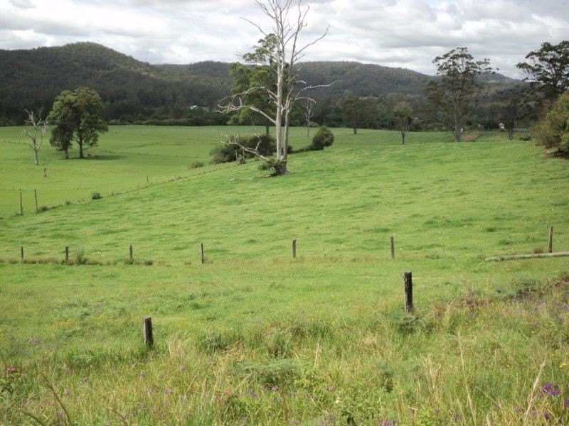 1496 Pipeclay Road, Pipeclay NSW 2446