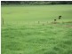 1496 Pipeclay Road, Pipeclay NSW 2446