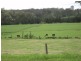 1496 Pipeclay Road, Pipeclay NSW 2446