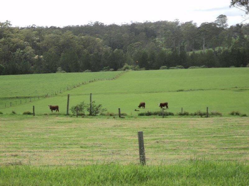 1496 Pipeclay Road, Pipeclay NSW 2446