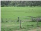 1496 Pipeclay Road, Pipeclay NSW 2446