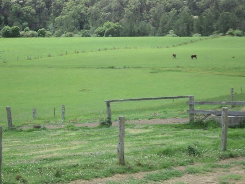 1496 Pipeclay Road, Pipeclay NSW 2446