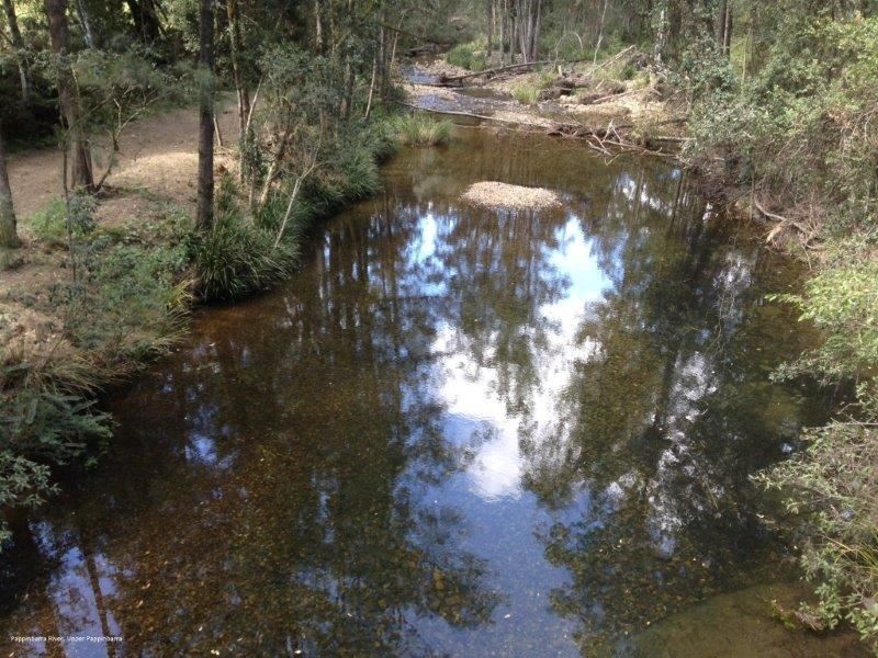2667 Pappinbarra Road, Pappinbarra NSW 2446