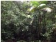 Lot64/2667 Pappinbarra Road, Pappinbarra NSW 2446