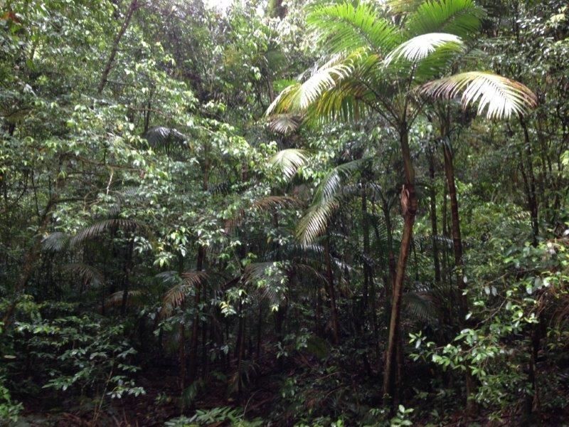 Lot64/2667 Pappinbarra Road, Pappinbarra NSW 2446