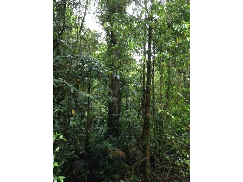 Lot64/2667 Pappinbarra Road, Pappinbarra NSW 2446