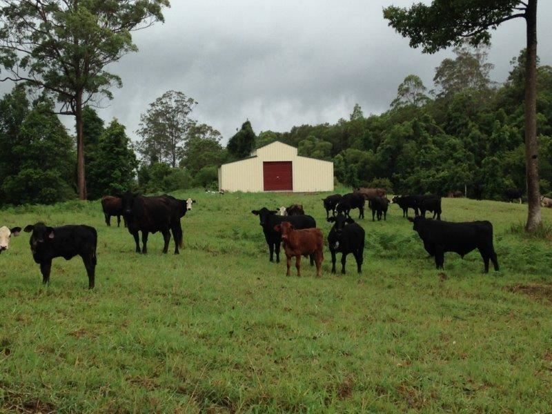 Lot94/2667 Pappinbarra Road, Pappinbarra NSW 2446