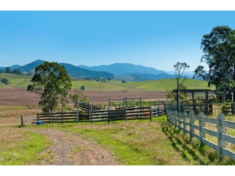 9 Figtree Valley Road, Yarras NSW 2446