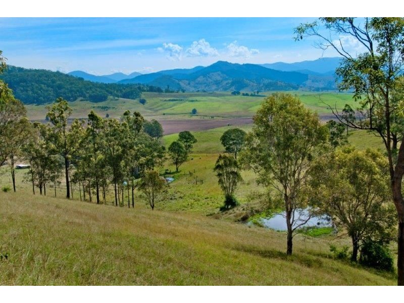 9 Figtree Valley Road, Yarras NSW 2446