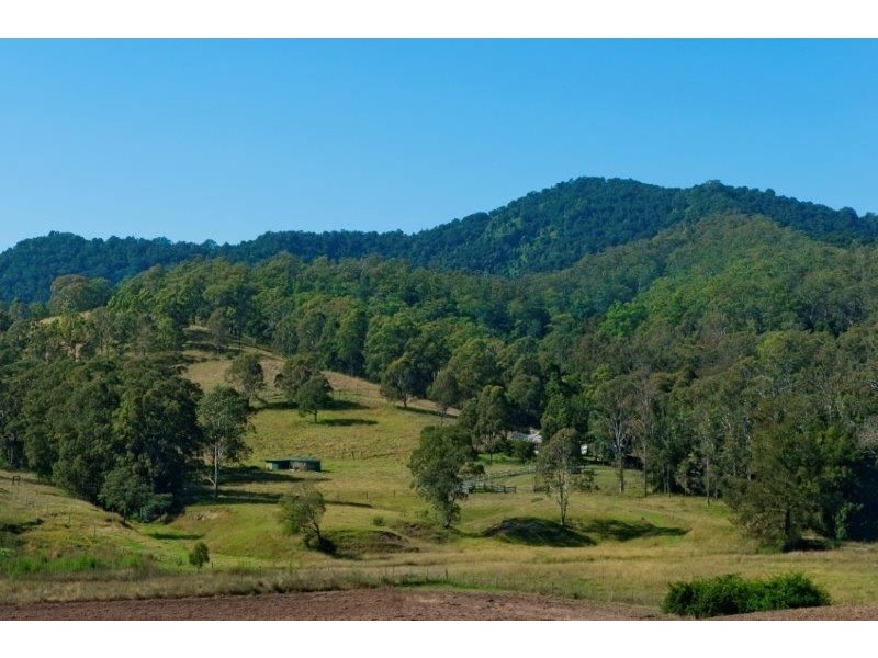 9 Figtree Valley Road, Yarras NSW 2446