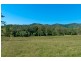 9 Figtree Valley Road, Yarras NSW 2446