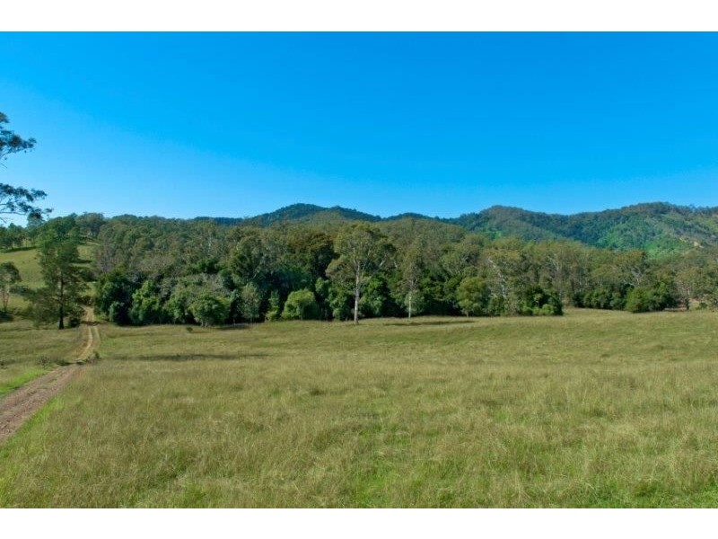 9 Figtree Valley Road, Yarras NSW 2446
