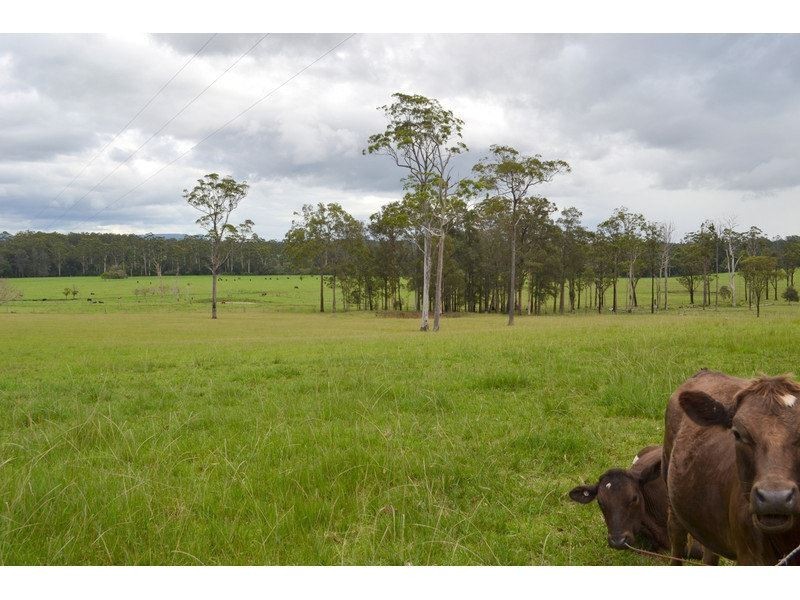 79 Rowsells Road, Wauchope NSW 2446