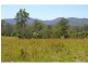1176 Bellangry Road, Bellangry NSW 2446