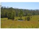 1176 Bellangry Road, Bellangry NSW 2446