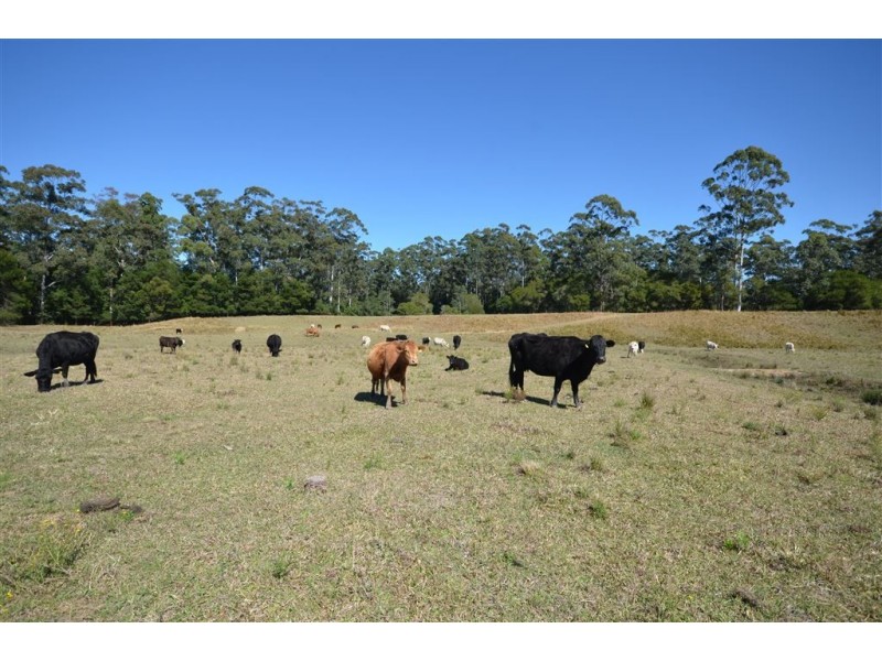 1106 Bago Road, Herons Creek NSW 2443