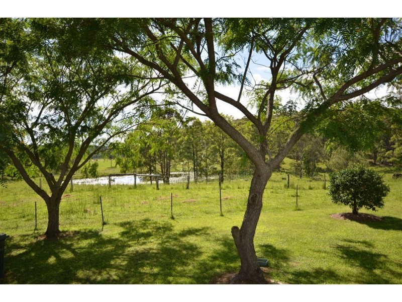 102 Mingaletta Road, Kundabung NSW 2441