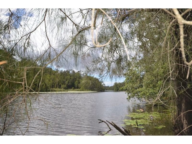 144 Mingaletta Road, Kundabung NSW 2441