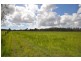 144 Mingaletta Road, Kundabung NSW 2441