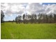 144 Mingaletta Road, Kundabung NSW 2441
