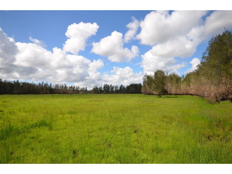 144 Mingaletta Road, Kundabung NSW 2441