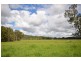 144 Mingaletta Road, Kundabung NSW 2441