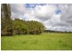 144 Mingaletta Road, Kundabung NSW 2441