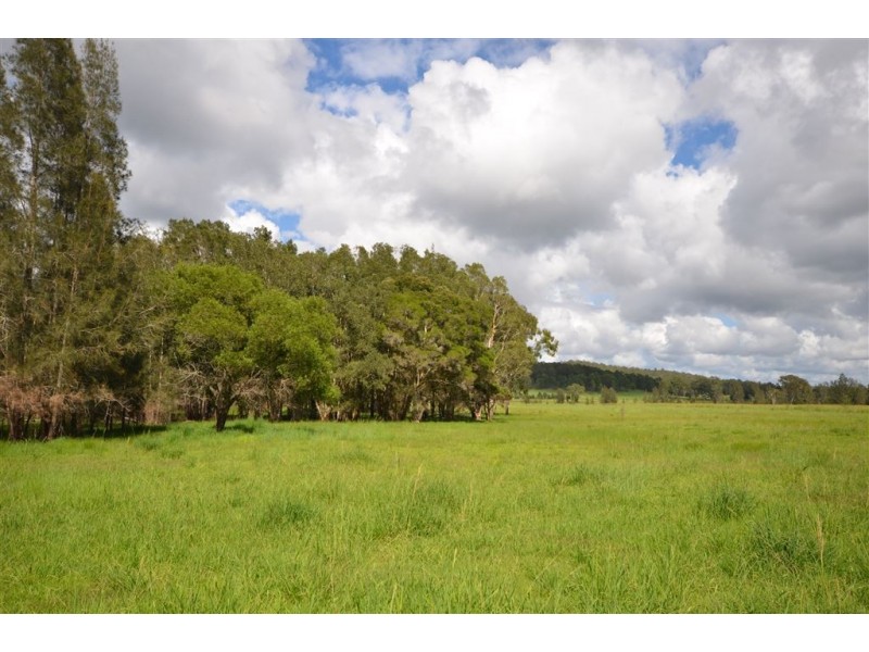 144 Mingaletta Road, Kundabung NSW 2441