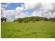 144 Mingaletta Road, Kundabung NSW 2441