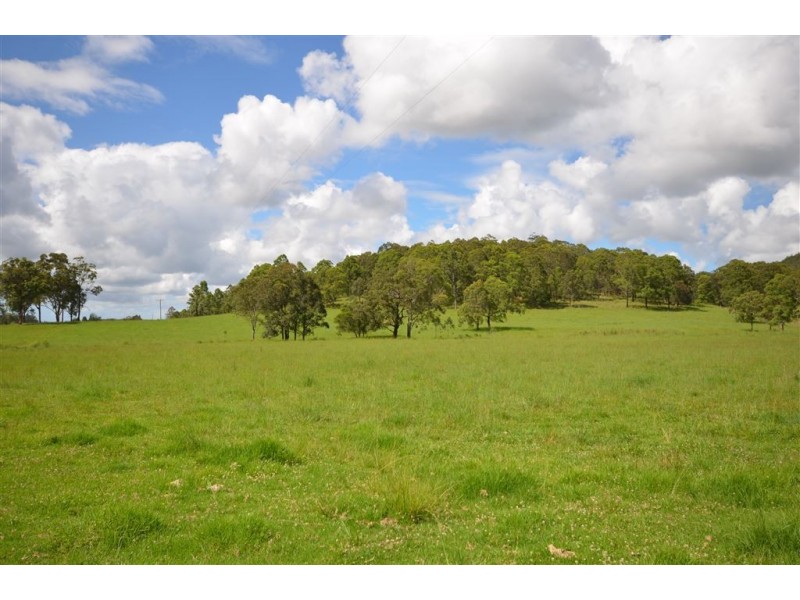 144 Mingaletta Road, Kundabung NSW 2441