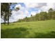 144 Mingaletta Road, Kundabung NSW 2441