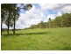 144 Mingaletta Road, Kundabung NSW 2441