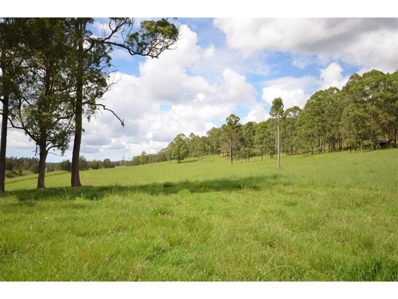 144 Mingaletta Road, Kundabung NSW 2441