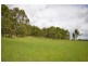 144 Mingaletta Road, Kundabung NSW 2441