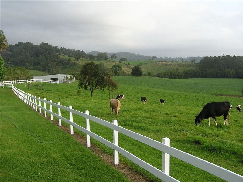 Hannam Vale NSW 2443