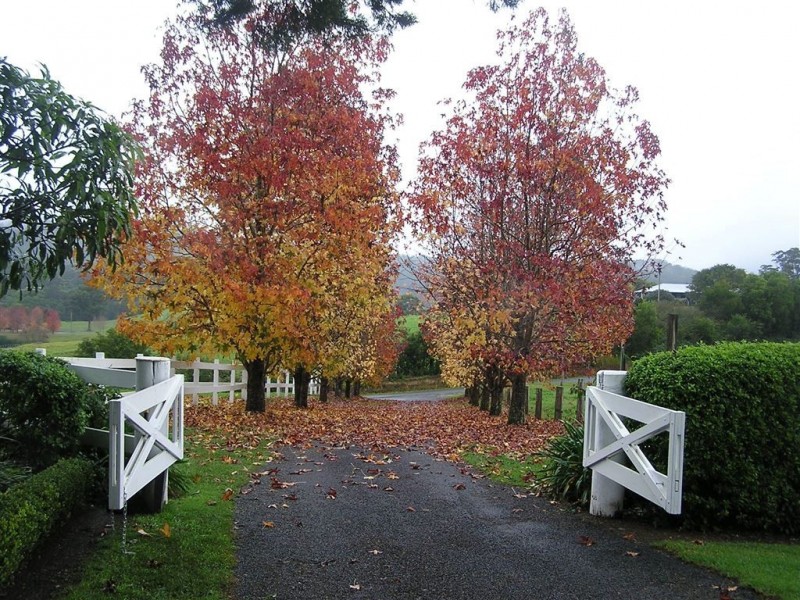 Hannam Vale NSW 2443