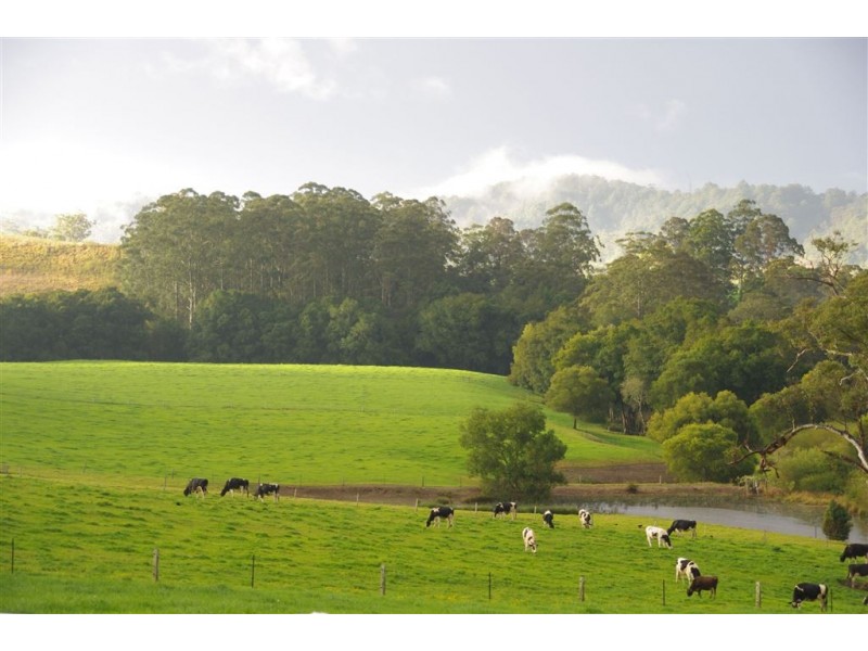Hannam Vale NSW 2443