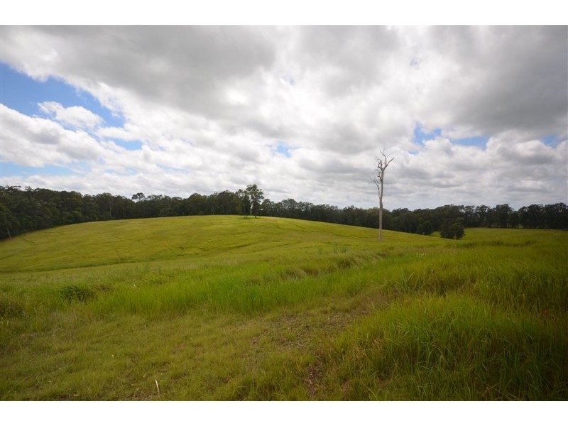 115 Frazers Creek Road, Beechwood NSW 2446