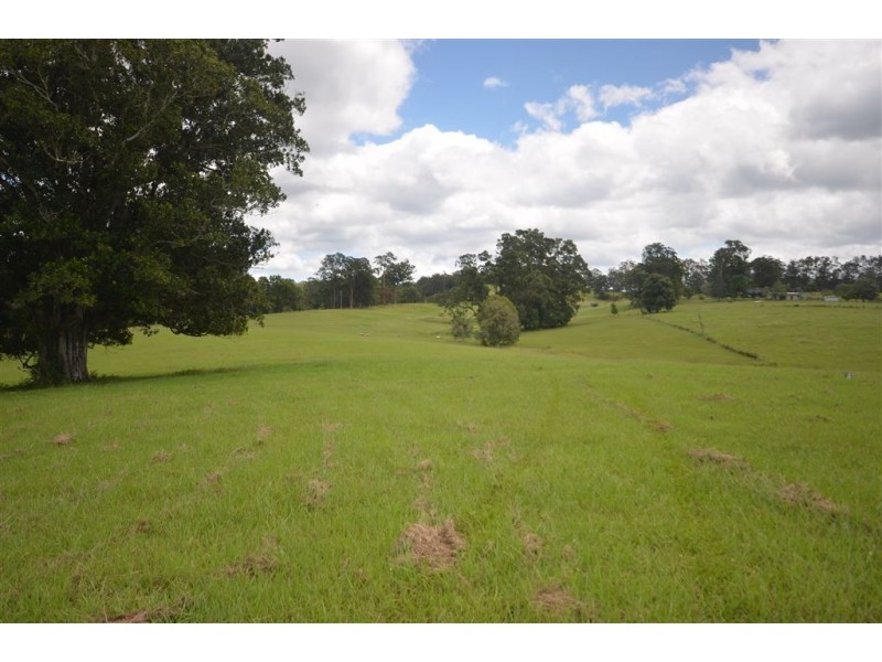 115 Frazers Creek Road, Beechwood NSW 2446