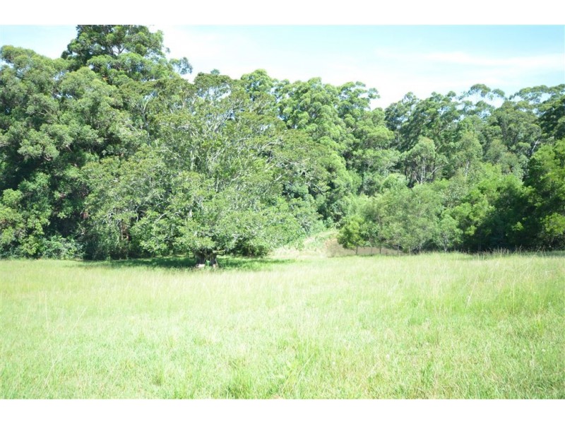 Lot 31 Tallowood Lane, Hannam Vale NSW 2443