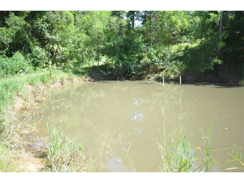 Lot 31 Tallowood Lane, Hannam Vale NSW 2443