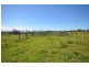 1890 Oxley Hwy, Wauchope NSW 2446