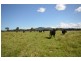 1890 Oxley Hwy, Wauchope NSW 2446