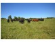 1890 Oxley Hwy, Wauchope NSW 2446