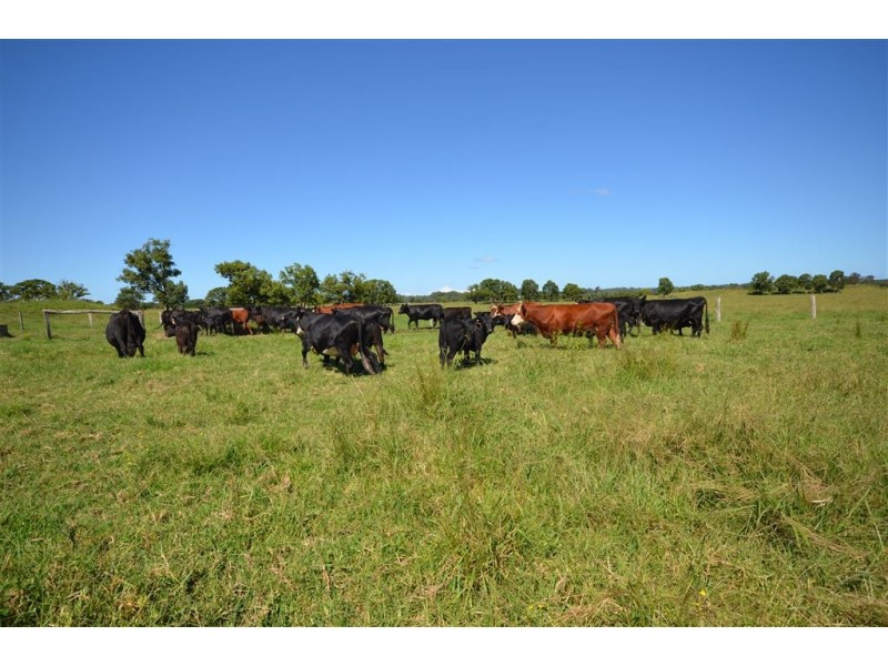 1890 Oxley Hwy, Wauchope NSW 2446