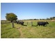 1890 Oxley Hwy, Wauchope NSW 2446