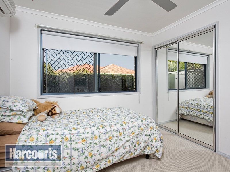 12 Spinebill Court, Mango Hill QLD 4509