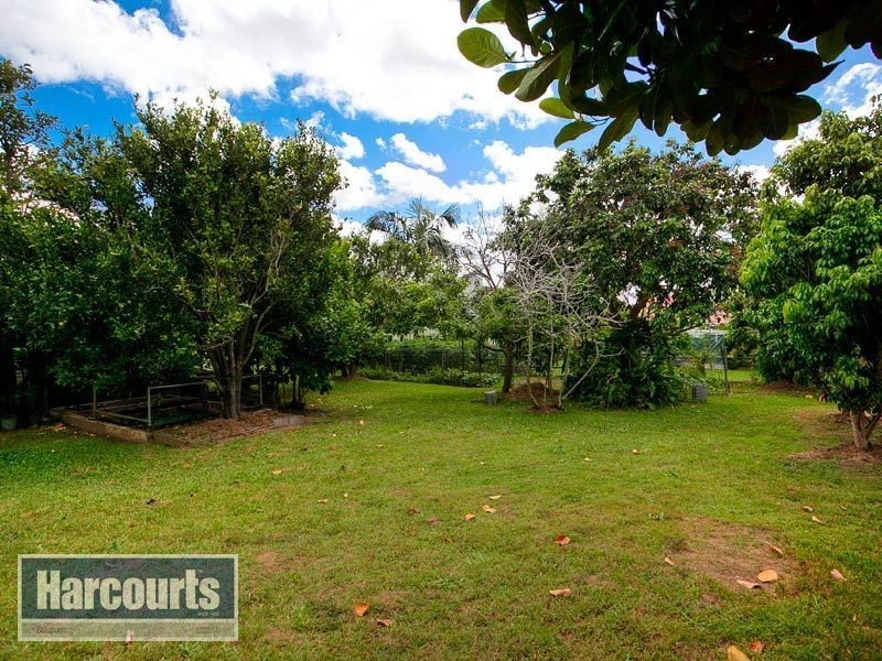 39 Crampton Street, Keperra QLD 4054